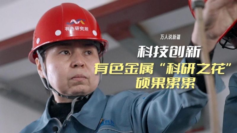 揭秘科技公司核心技术岗位：关键角色与职责**
